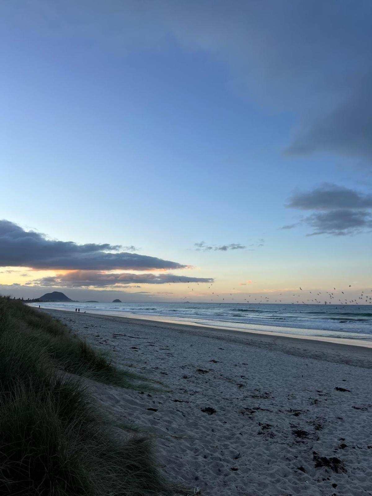 Papamoa Beach, Pohutukawa Deluxe Studio, On Hugoway 外观 照片